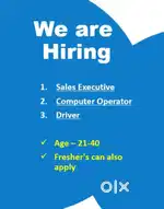Hiring Driver, Sales Executive, Computer Operator