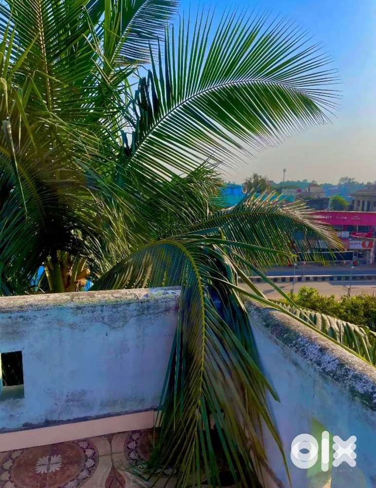 1BHK NEWLY BUILD FLAT FOR RENT AT PRIME LOCATION WITH HUGE PARKING.