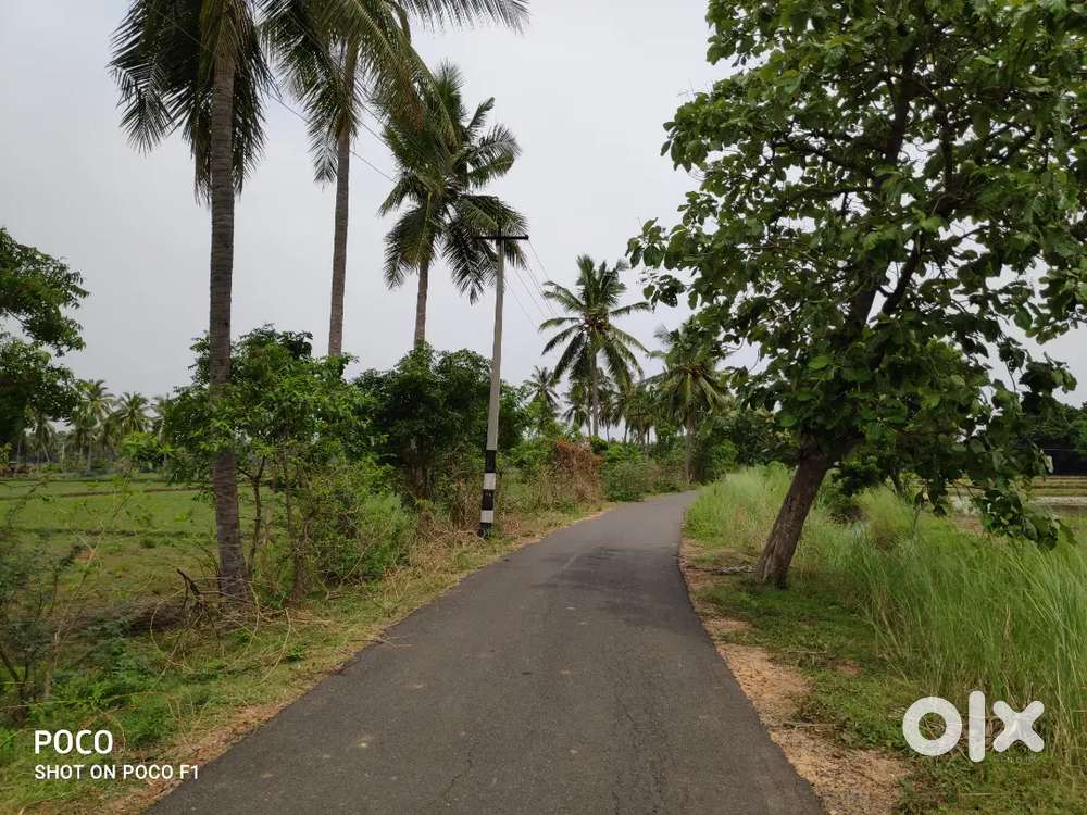 Land sale sirkali Senthangudi