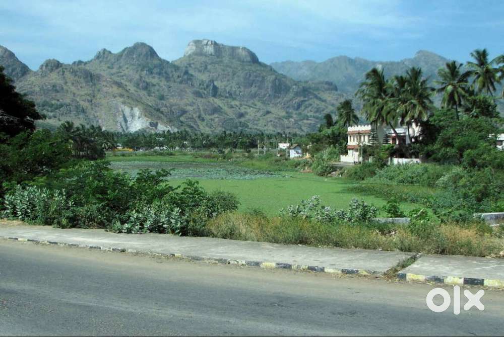 Parvatipuram Warehouse/ Residential land for sale