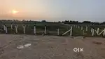 Land for sale at devvanapet  Ring road going cheap urget sale