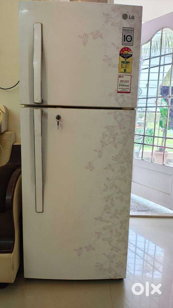 LG 258L double door fridge (with stand and stabilizer)