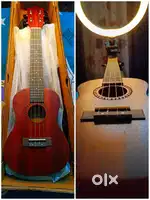 Kadence Concert Ukulele 23, Cinnamon Brown colour,