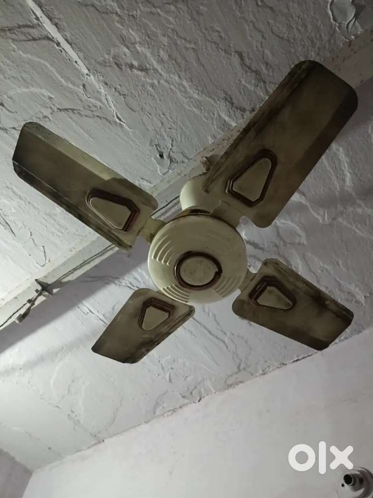 24inch. Good Condition Fan.