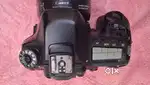 CANON 80D with lens 18-135