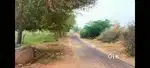 12.5 bigga land for sale