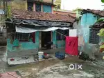 2 kata land all pepar frassh
