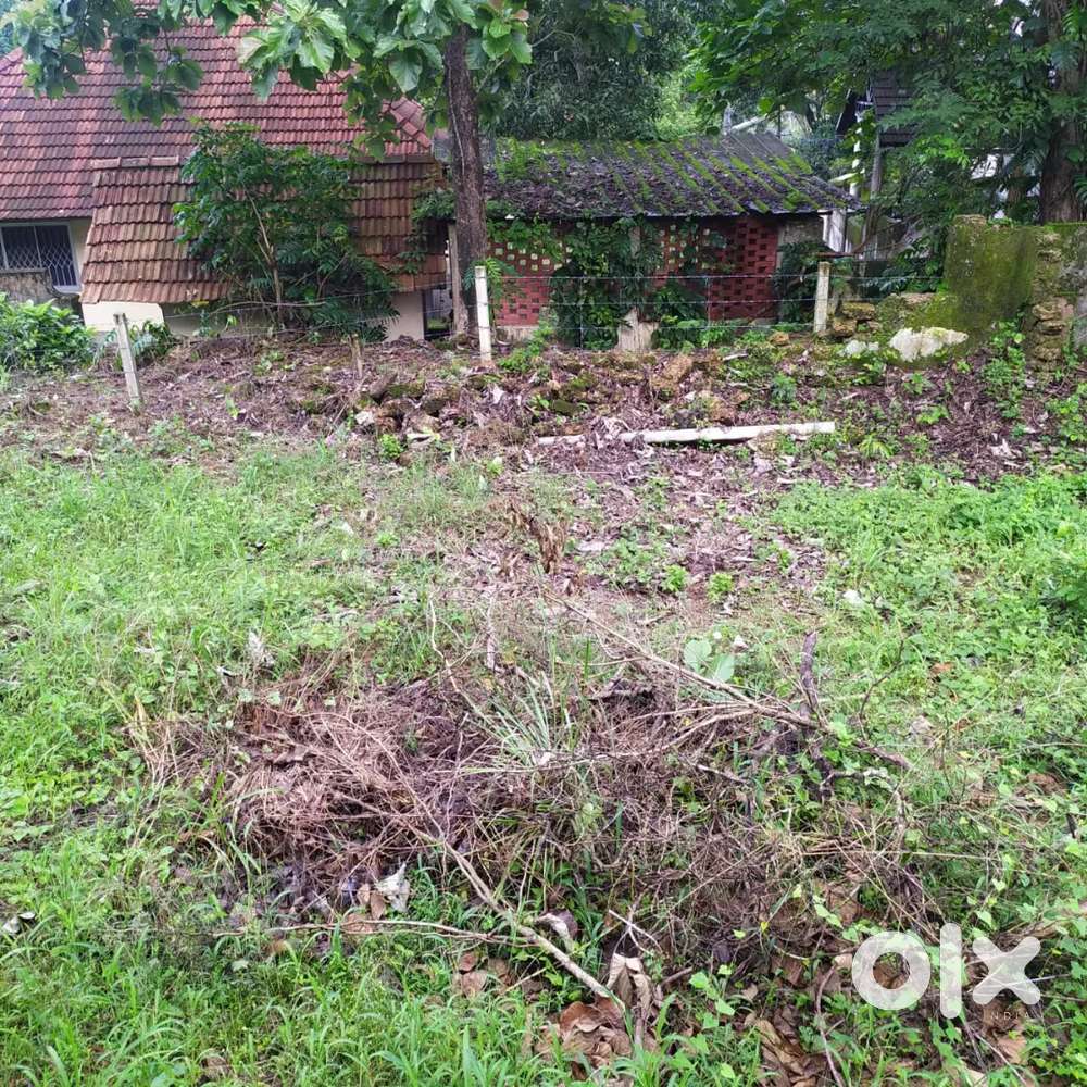 Freehold rectangular plot near Thirunakkara Temple & Cross Church,