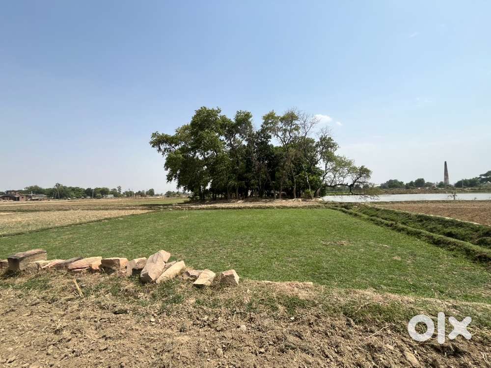 Jameen ko bechana hai jeevnathopur se 5 km dur pr hai 10lakh rupe bisw