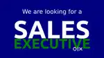 Sales Executive