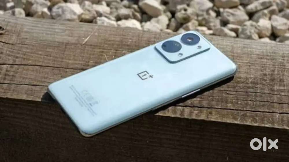 One plus mobile phone need money