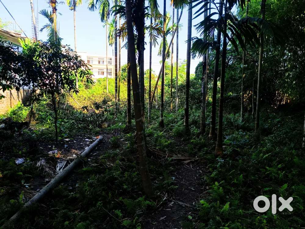 Land For Sale Near Donbosco Chapaguri