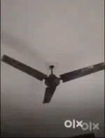 Ceiling fan 2 pieces & 1 table fan