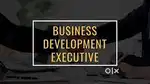 Looking For Business Development Executive