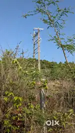 Khandotri - Taar -  St road touch , near Palvan, vahal, jaigad road,