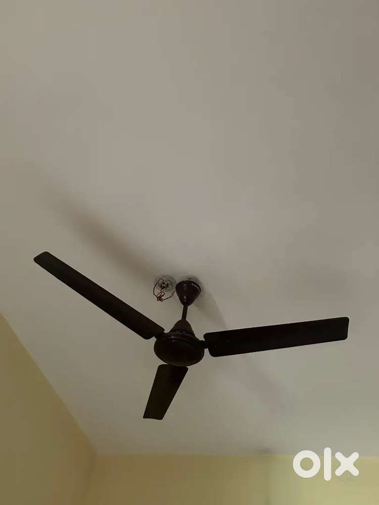 Table fan + crompton ceiling fan