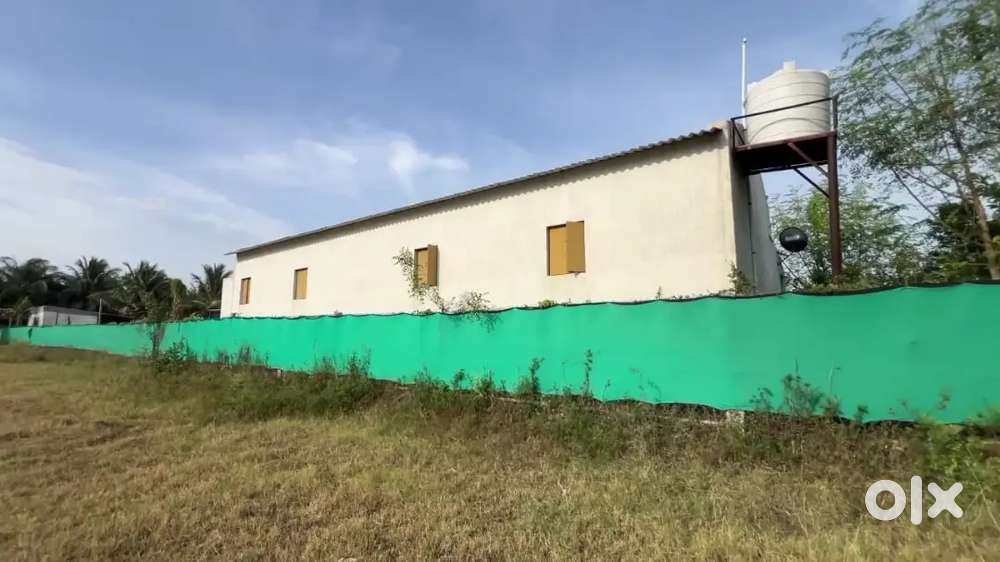 தேங்காய் களம் விற்பனைக்காக