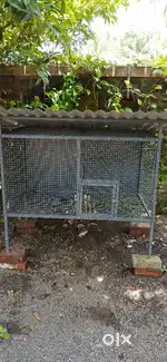 Chicken coops, love birds cage for sale