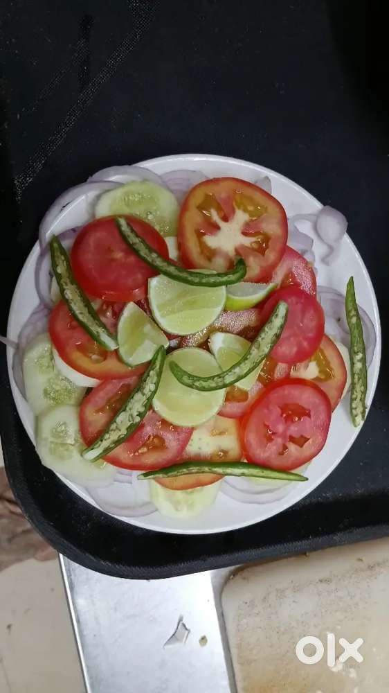 Bagicha resturent new open only girl fast one seat