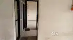 1 bhk flat for rent