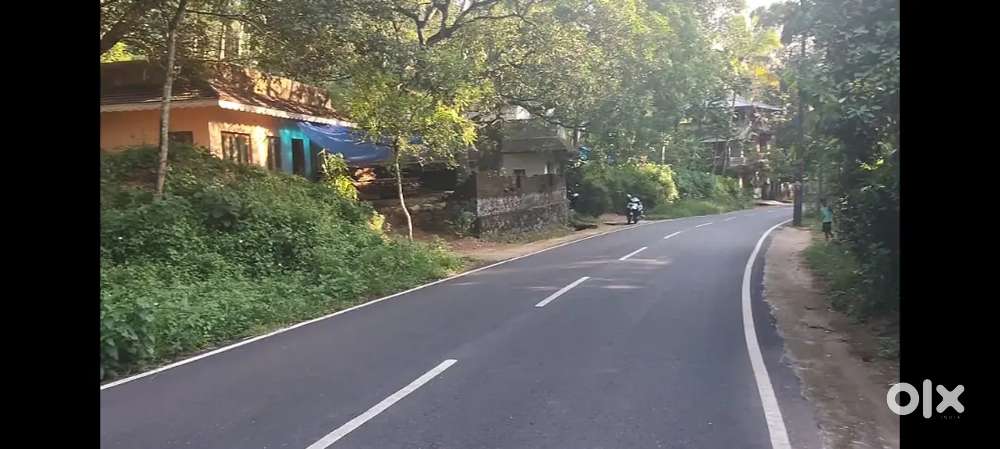 30 cent of land at Aryanad Aithy