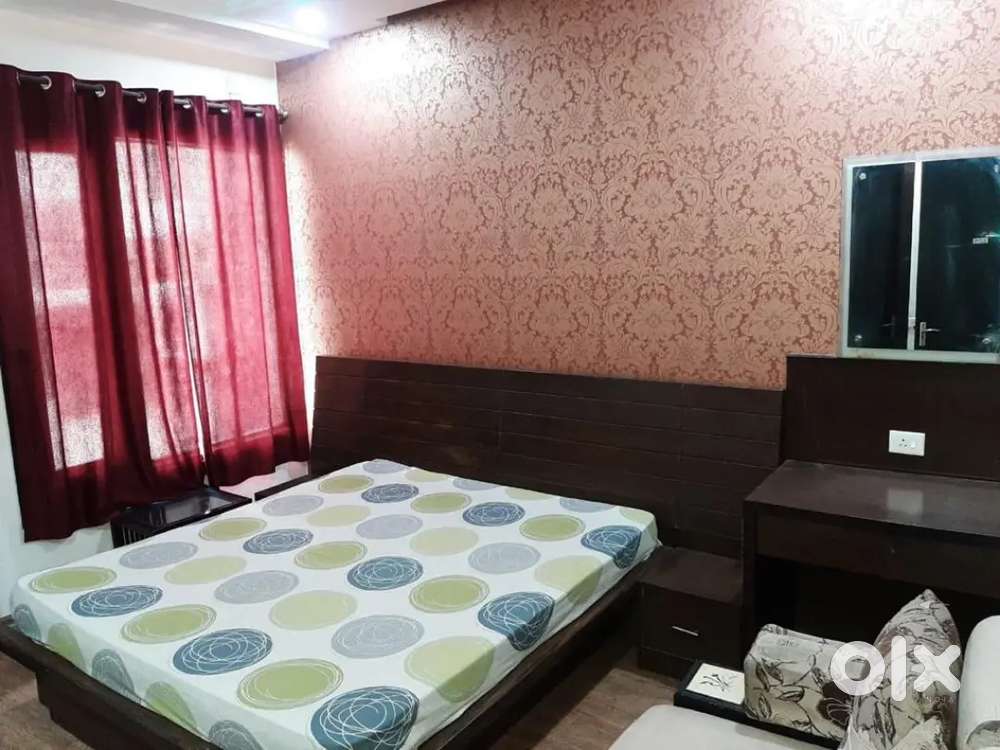 NO BROKERAGE 500+ Executive Boys PGs with meals & amenities in Noida!