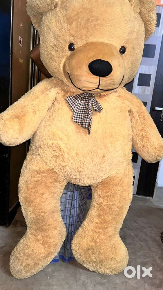 Teddy bear 5.5 feet