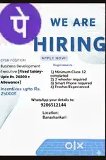 Business Development Executive
