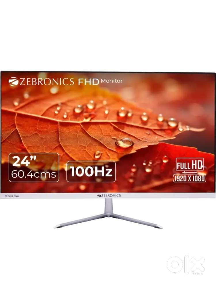 Computer MONITOR  screen