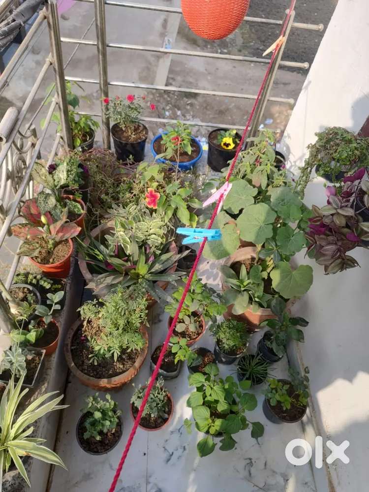 #2bhk #room #Flat #2BHK #metro_station