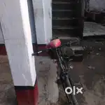 My cycle is best