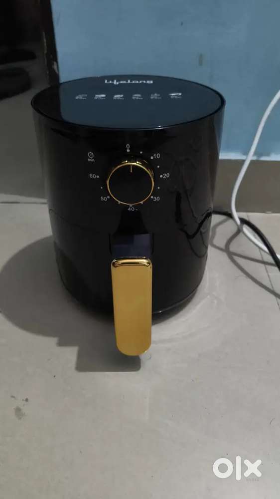 Lifelong air fryer