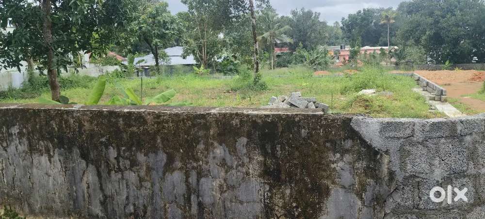 ഏറ്റുമാനൂർ പാലാ റോഡിൽ ninu 400 mtr മാറി  8 സെന്റ് സ്ഥലം വില്പനക്ക്