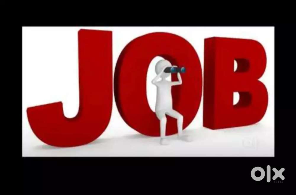Only girls and ladies job hai Official and home based job hai training