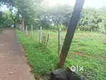 17 cent Land for sale at kizhakkambalam