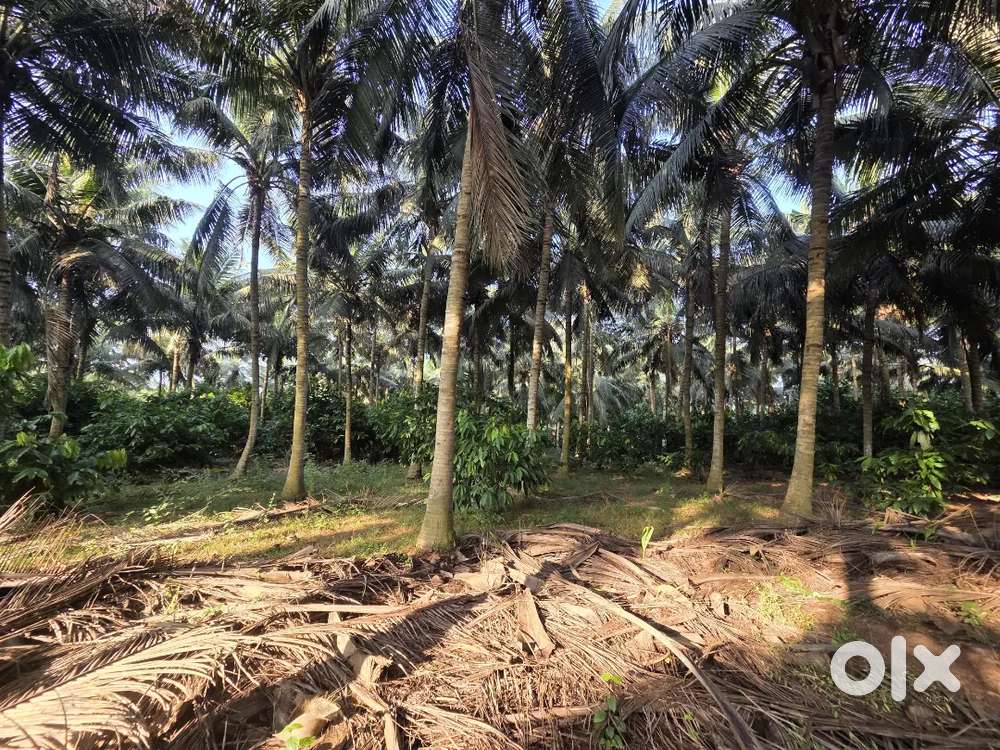 10 Acers Land for sale