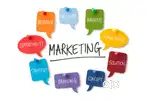 Lady Marketing executive for a limited company