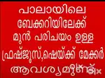 ഫ്രഷ് ജ്യൂസ് ഷെയ്ക്ക് മേക്കർ