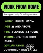 Work from Home Job – Flexible Timing