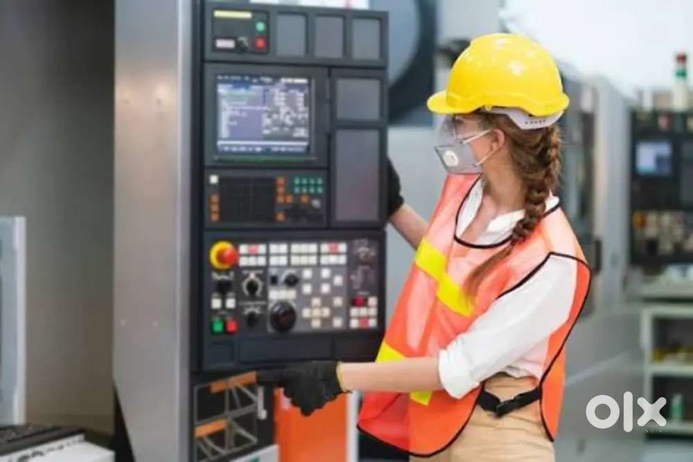 We are hiring job's for freshers