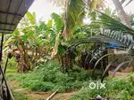 Vengurla perfect location negotiable