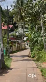 PLOT FOR SALE KODALY