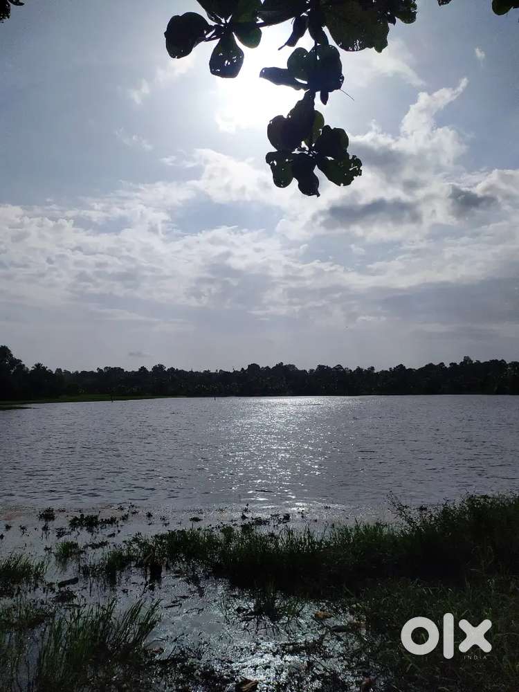 37.25 cent Backwater Plot for sale