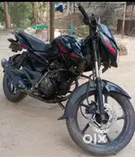 Pulsar 135