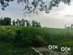 10.5 Bigha Khet Village Gorikalan, Shahjahanpur (UP)