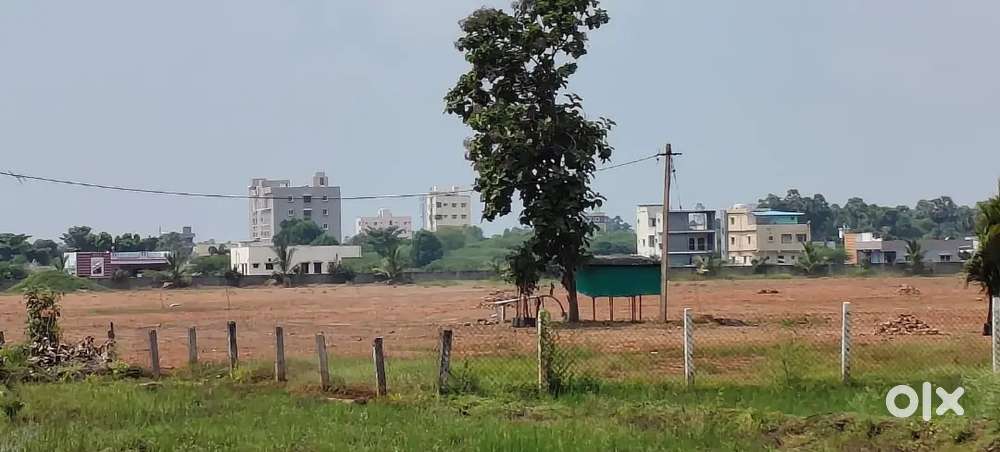 తగరపువలస అవంతి ఇంజినీరింగ్ కాలేజీ కు అతి దగ్గరలో  పంచాయతీ ప్లాట్లు