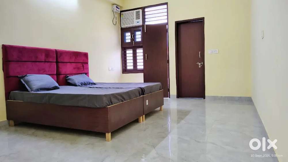 Affordable PG in sector-48