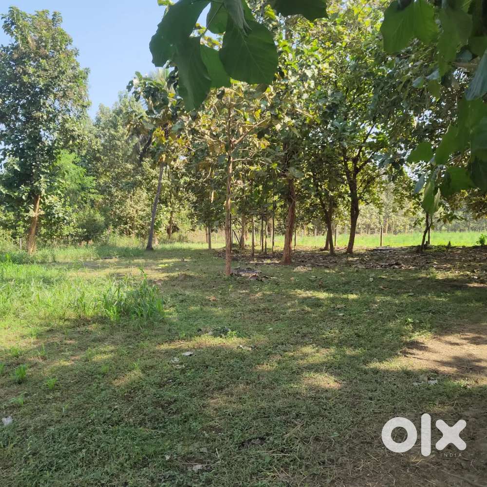 80 cents land for sale R&B road side bit...