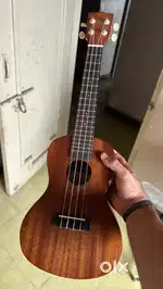 Kala Concert Ukulele