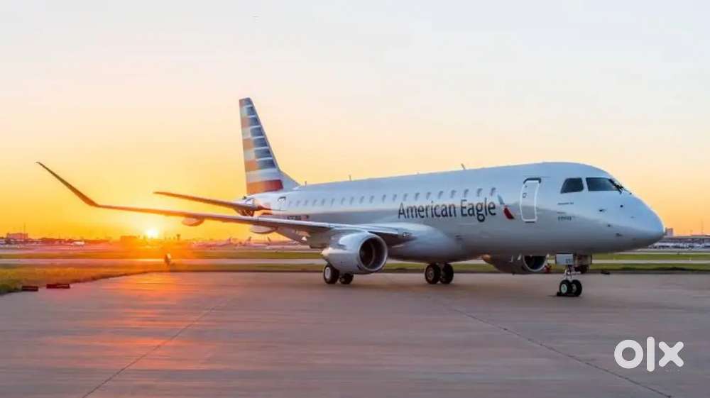 Indigo Airlines jobs /Vacancy for Airport Ground staf / Driver / Crew